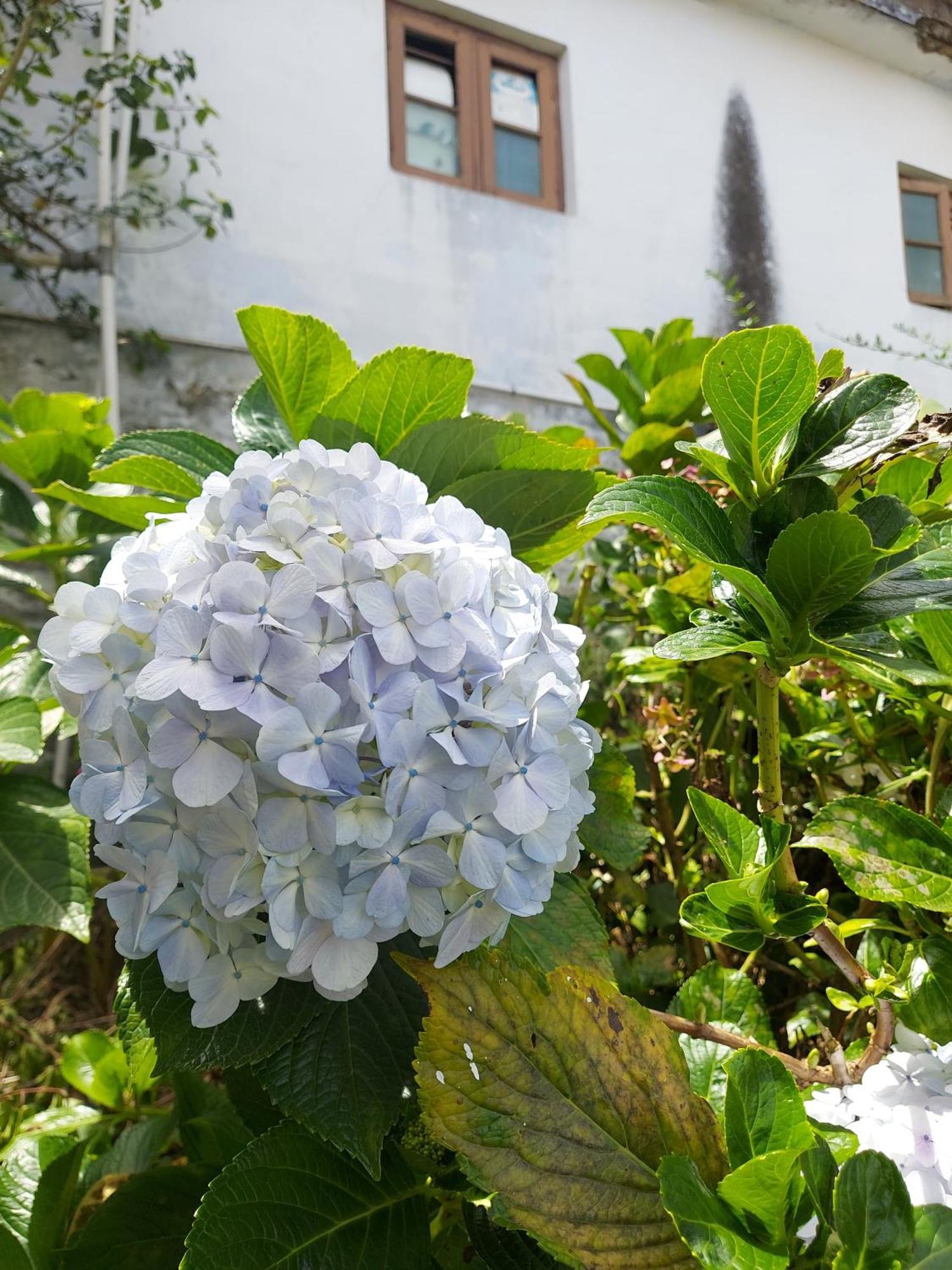 Amman Resorts Kodaikanal Bagian luar foto